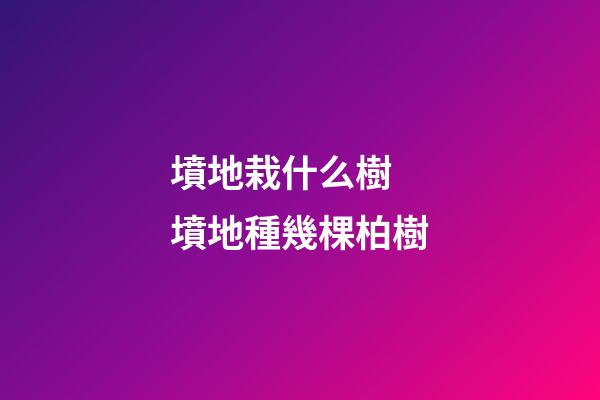 墳地栽什么樹 墳地種幾棵柏樹